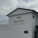 환영목장 | 제주 서귀포 ‘목장카페 밭디’ 데이트 솔직후기 (성산승마, 먹이주기 체험, 카페 음료)