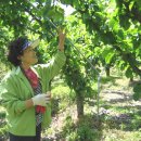 은식농장 이미지