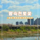 왕숙천 자전거도로4 이미지