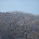 에그2000앤유로코피자 | 12월 셋째주 갤털 | 지각쟁이 특 : 등장인물 다수, 블로그 뒤지게 재밌음