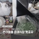 펫포유 | 세종 고양이 장례식장 장군면 펫포유 반려동물 루쎄떼 제작