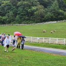 동기목장 이미지