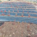 한길농장 이미지