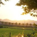 절영종합사회복지관 이미지