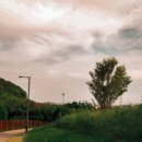 삼학도 무장애길 입구 이미지