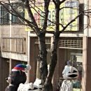 캐릭터월드크리닝 이미지