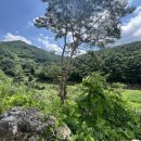 슈빌라움 이미지