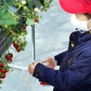 연기면_세종호수공원 제1주차장 이미지