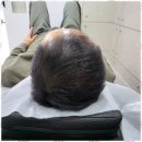 유지도트 이미지