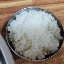 신마산식당 | [대구맛집]신송자 신마산식당 주차, 고기밥,국밥 솔직후기