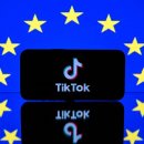 EU, 아동 데이터 유출로 TikTok에 3억 4500만 유로 벌금 부과 이미지