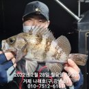 거제도 북동부 네이버블로그