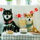 도기키친 프롬제주 이미지