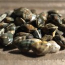 문어대장 이미지