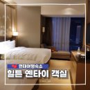 DAMA | 연태 5성급 힐튼 옌타이 호텔 2 더블룸 객실 후기 feat. NOL