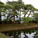 승원능이백숙 | 2016올해의 관광도시 제천시 십경 의림지 맛집 승원 황기육수 닭볶음탕 삼계탕 상계탕 제천여행