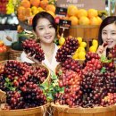 홍주유통 이미지