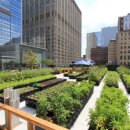 신토불이 이미지