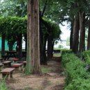 원대 수목원 이미지