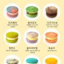 더마카롱 이미지