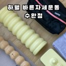 SNPE(바른체형교정운동) | 광산구필라테스 수완체형교정 SNPE 체험기｜하웰 바른자세운동 수완점 리얼후기