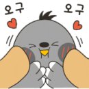 (주)성요셉목수학교 이미지