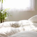 원룸세탁 이미지