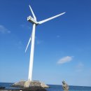 수산1리 | 제주도 보름살기 후기 [2020.11.10~30]