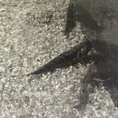 수정동농장 | [전남|여수•돌산] 추운 겨울에 가 볼 만한 실내 데이트 장소 추천!_여수 아쿠아 플라넷