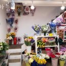 한아름꽃집 이미지