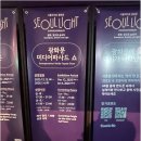 파사드랩(Facade Lab) | 미디어파사드 추천 전시｜2025 서울라이트 광화문 ‘빛의 향연' 에이플랜컴퍼니