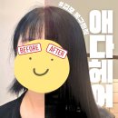 장기동행정복지센터 소회의실 | 김포 복구매직 애다헤어 삼손원장님 내돈내산 후기 (ft. 김포 장기동 미용실)