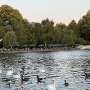 오픈하우스가든 이미지