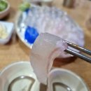 엄박사횟집 | 청주 용암동 술 한잔 생각나는 횟집 *엄박사 횟집*
