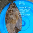 미친고기 이미지