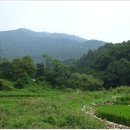 삼성면사무소 | 봉학골 삼림욕장을 품고 있는 음성 가섭산·봉학산