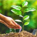 미셀지역아동센터 이미지