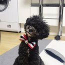 싹독싹독 이미지