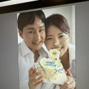 세미앙 청담(구 달빛스쿠터) 웨딩 촬영 원본 셀렉 후기, 추가금 방어 실패!