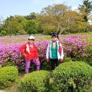 관악산역 이미지