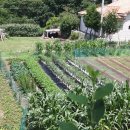 강하보건지소 이미지