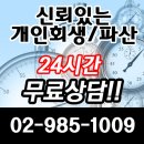 대진모사
