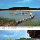 강마을돌담정원 | 외나무 다리 추억을 가로지르고 일렁이는 여울은 나그네 호사려니