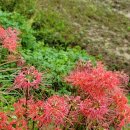 동뫼골 스테이 이미지