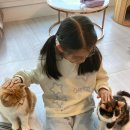 아가마미 고양이카페 이미지