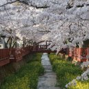 진해여자고등학교 이미지