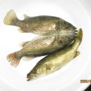 하덕천 Daum카페