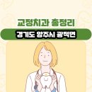 경기도 양주시 광적면 교정치과 총정리