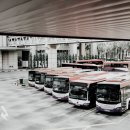 신아우성 이미지