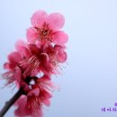 새싹목장 이미지